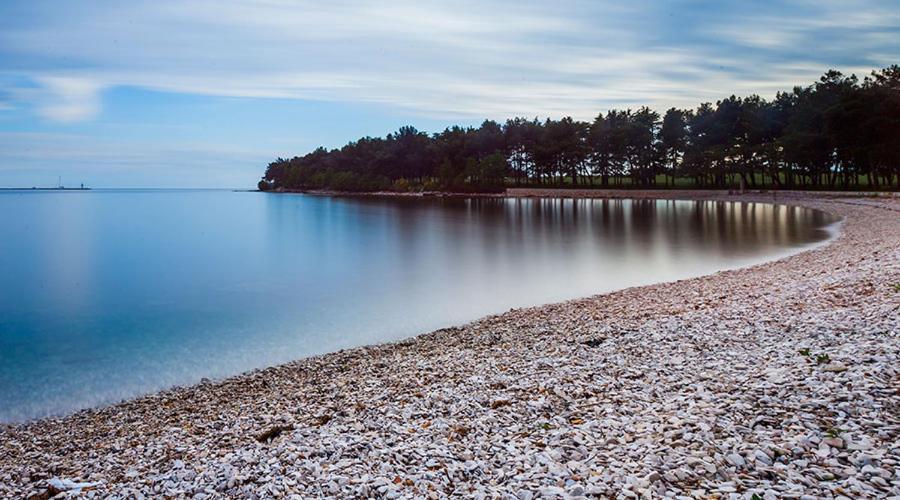 Apartman Ivo Lägenhet Novigrad Istria Exteriör bild